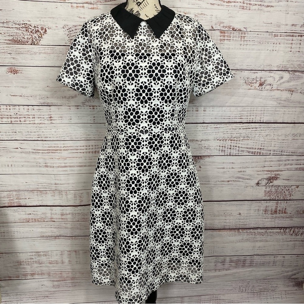 BIGIO Collection short sleeve collared floral print size 10 midi Dress‎